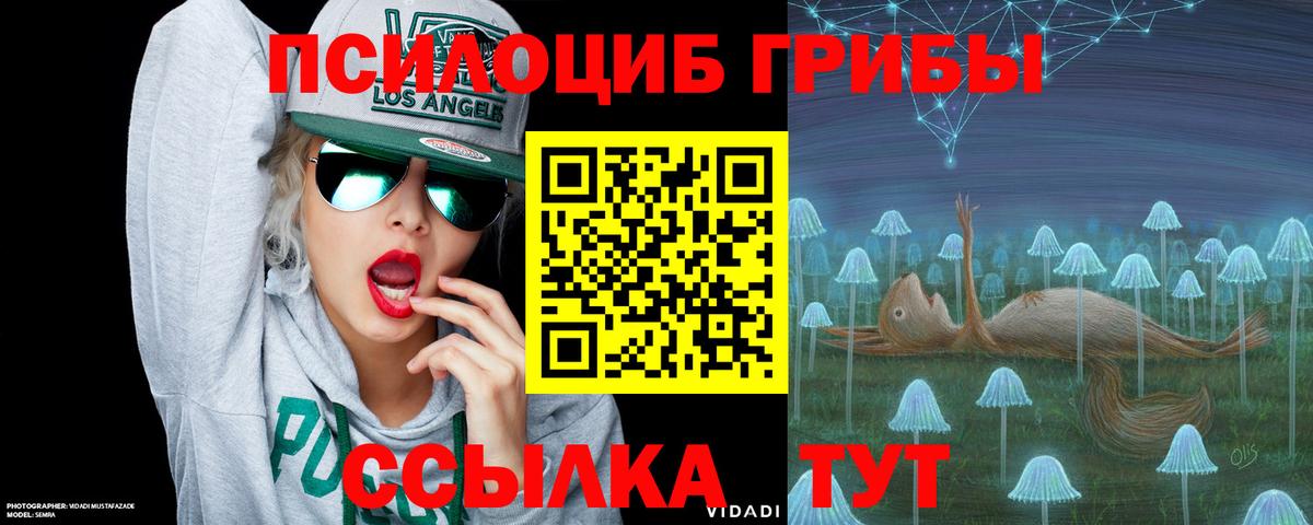 Симферополь  Галлюциногенные грибы Psilocybine cubensis  Вход с VPN 