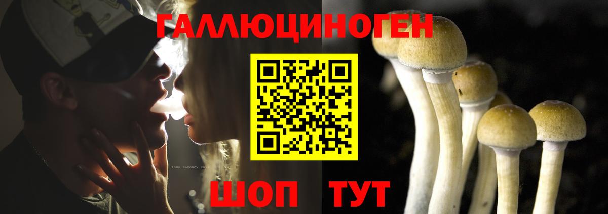 Псилоцибиновые грибы прущие грибы Симферополь